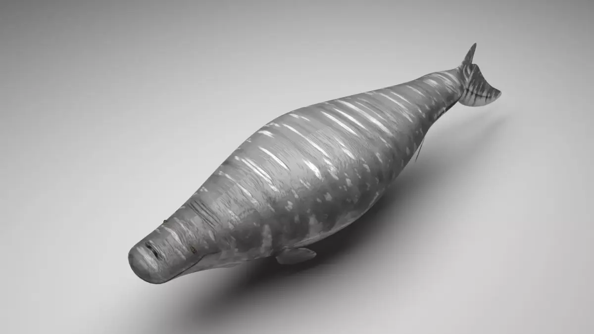 Mosasaurus 3D model purchase