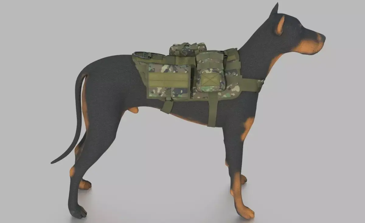 TACTICAL VEST FOR DOG 2 3D model