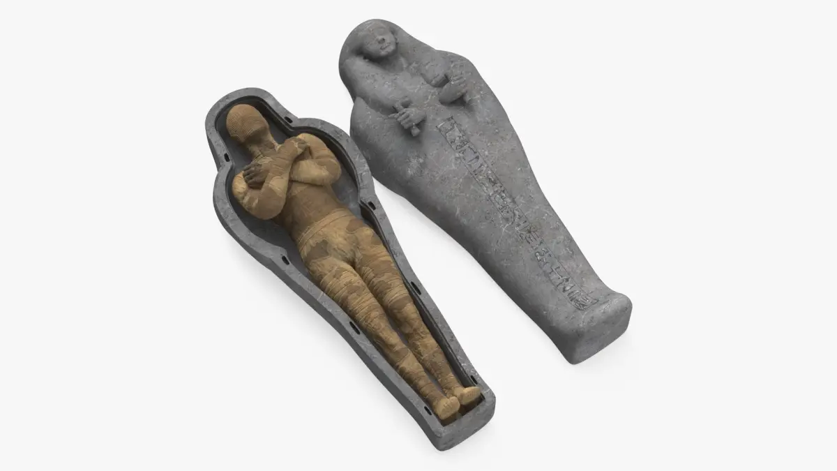 Mummy in the Sarcophagus 3D model