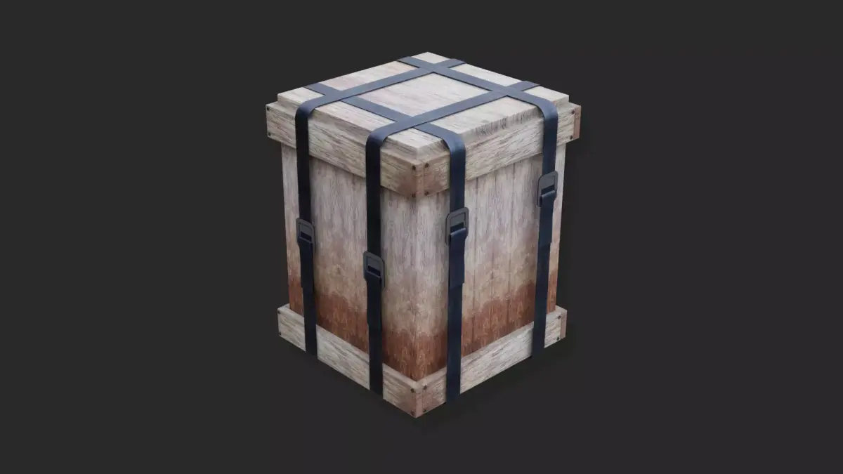 Survival Box 3D model