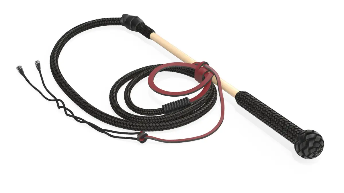 Historical Leather Whip Braided Black 3D model