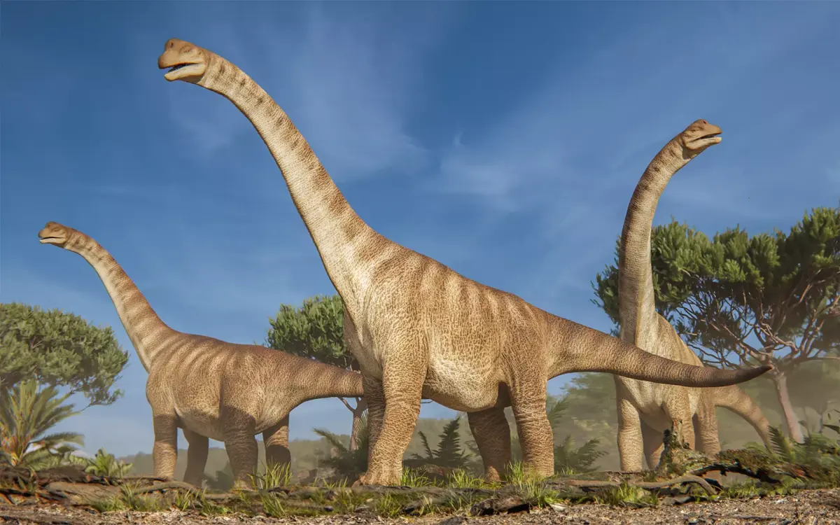 Brachiosaurus Sauropod Dinosaur Low-poly 3D model