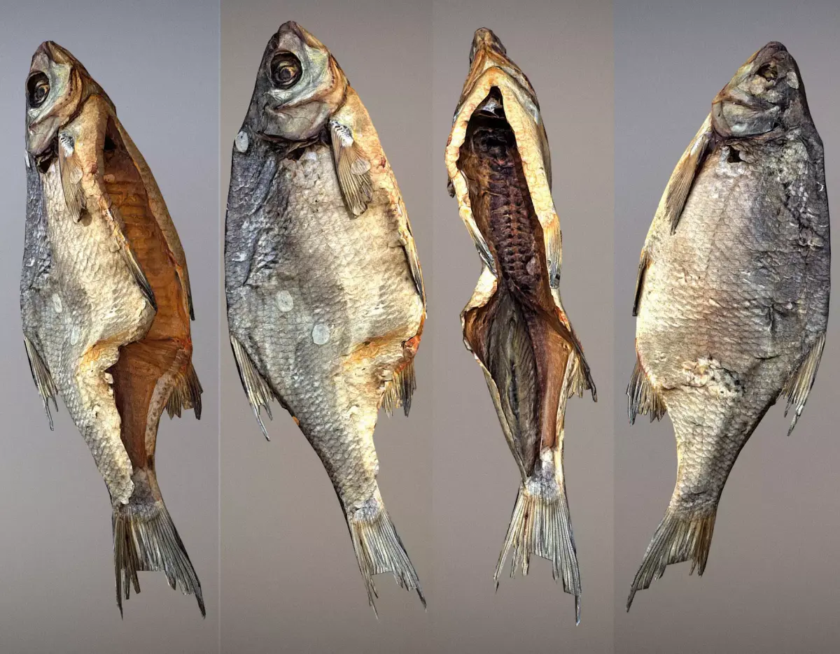Photorealistic 3Dscan of dried open fish Low-poly 3D model