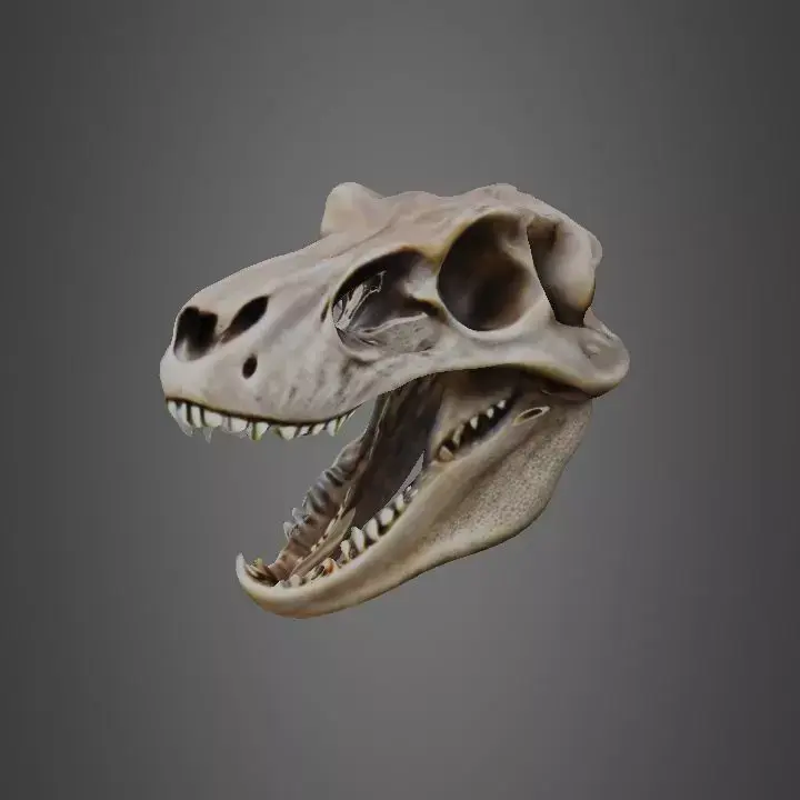 T-rex skull 3D model