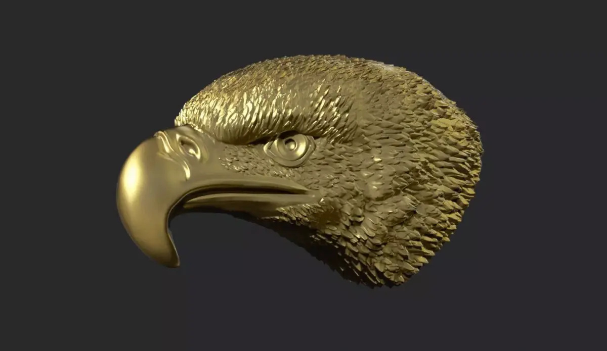 Eagle Head 3D print model