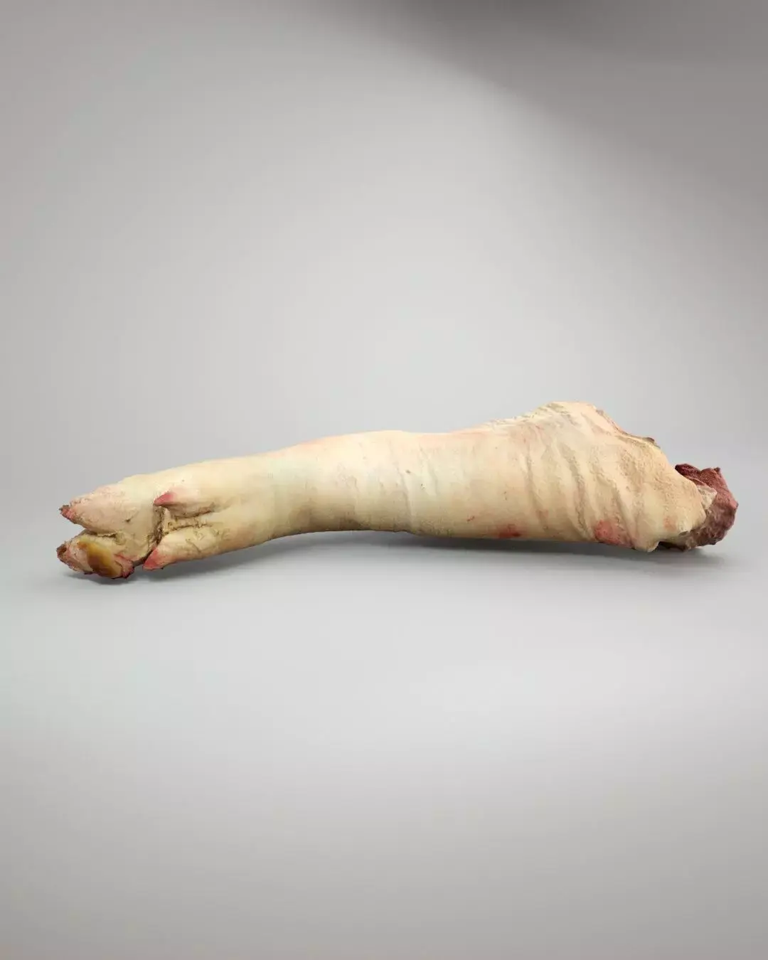 Raw Pig Foot - 3D Scan Low-poly 3D model