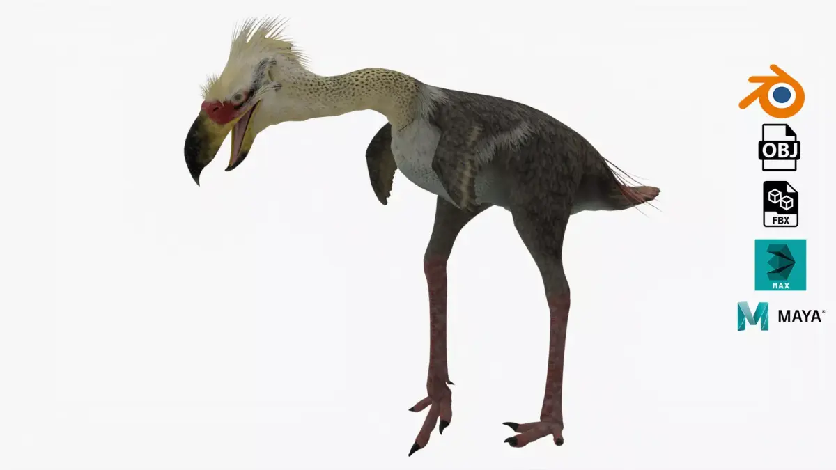 Realistic Phorusrhacos vulture with long beak Low-poly 3D model