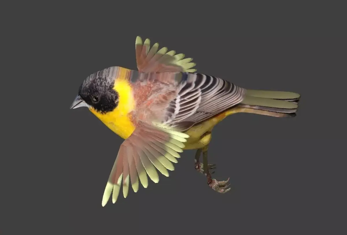 bunting animated Low-poly 3D model