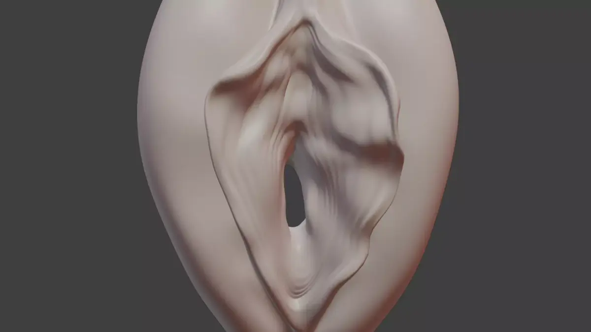 Anatomically correct vulva 3D model