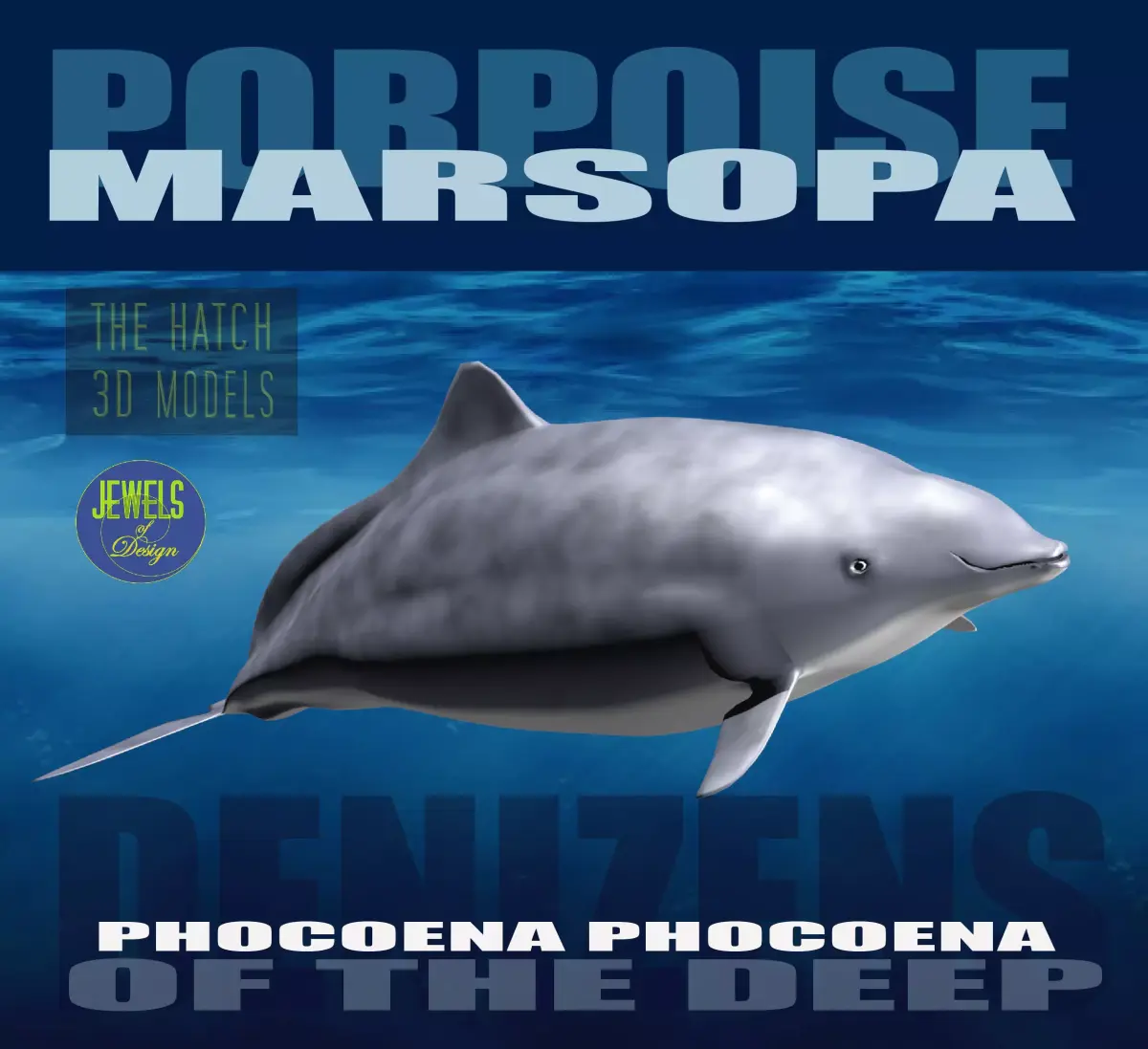 Porpoise orca whale 3D model