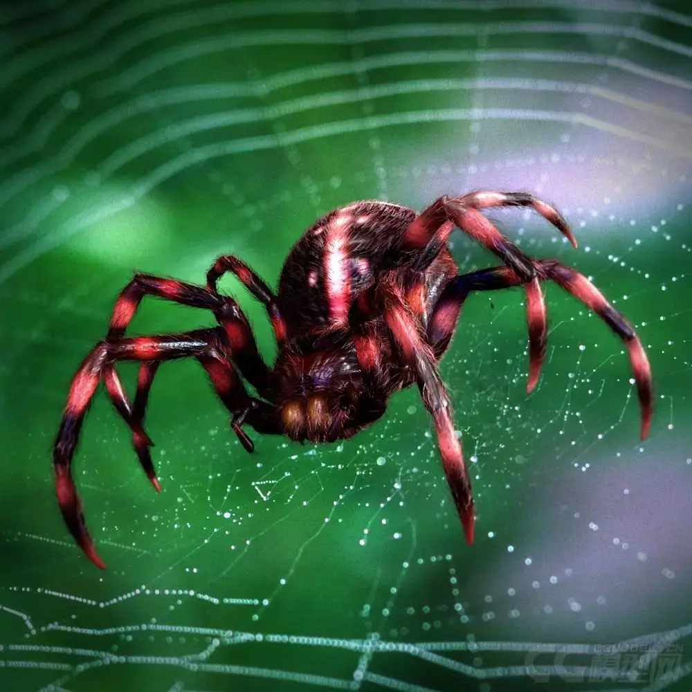 3D Modelnature animal creepy tarantula idle horror arachnid 3D model
