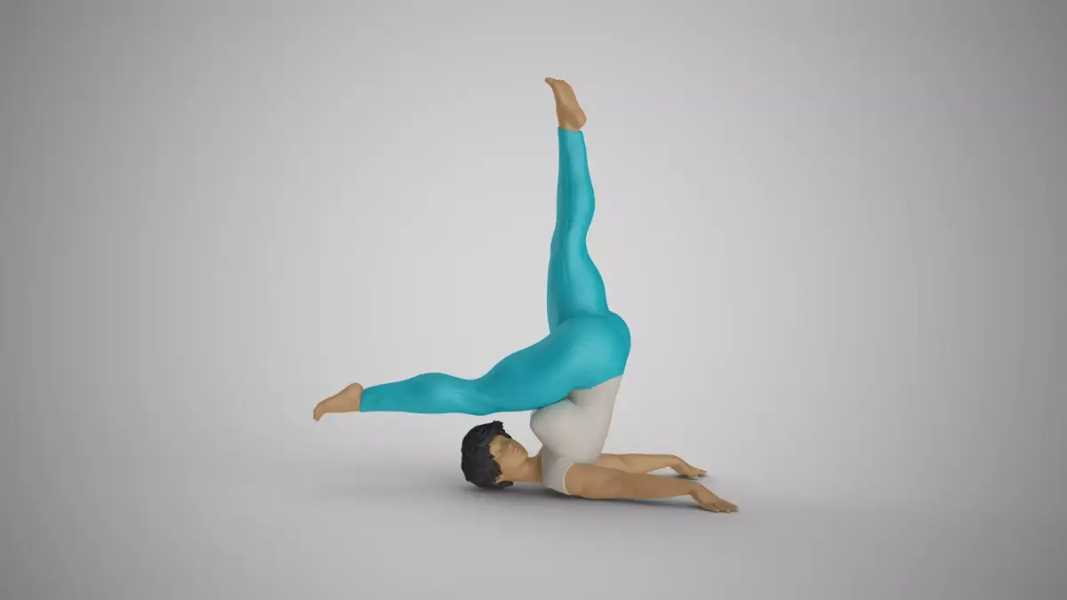 Flexibility at Midday 3D print model