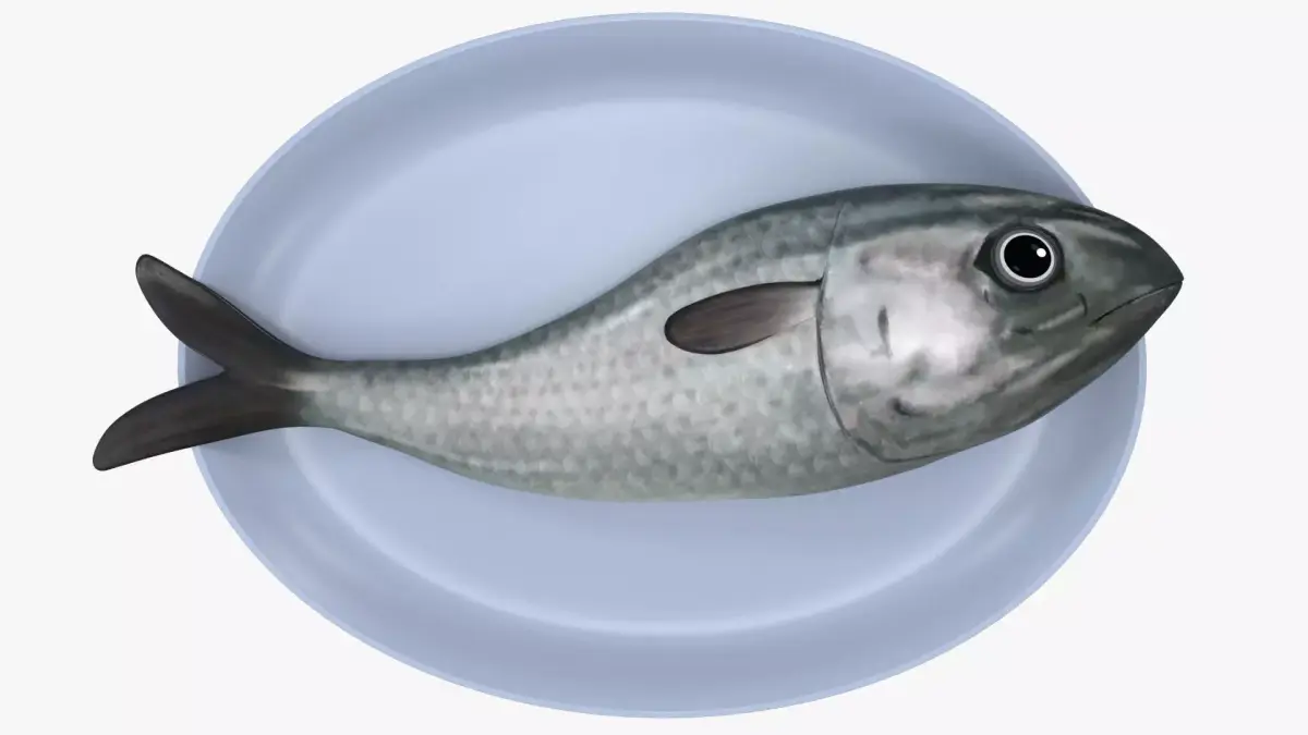 plate of rawfish Low-poly 3D model