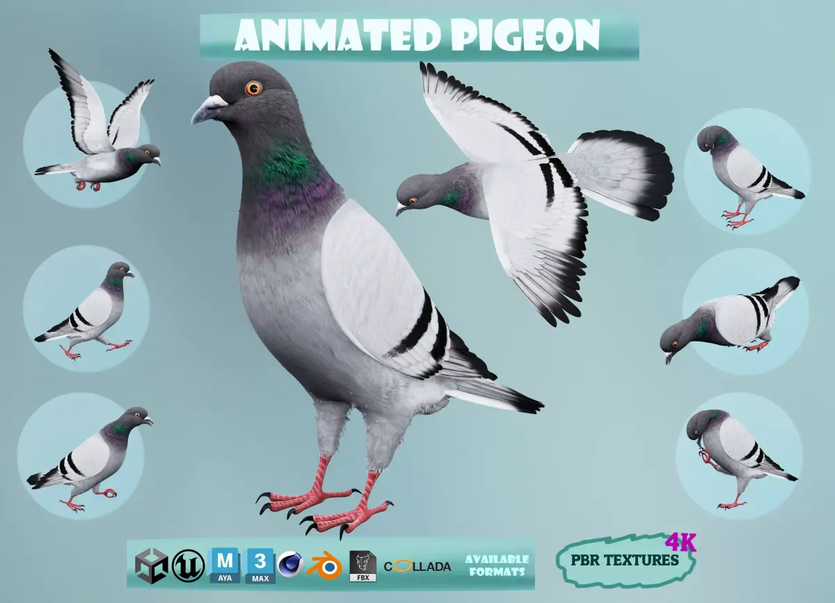 Realistic Animated Rock Pigeon Low-poly 3D model