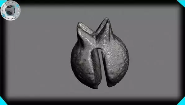 fishing split shot sinker 3D model