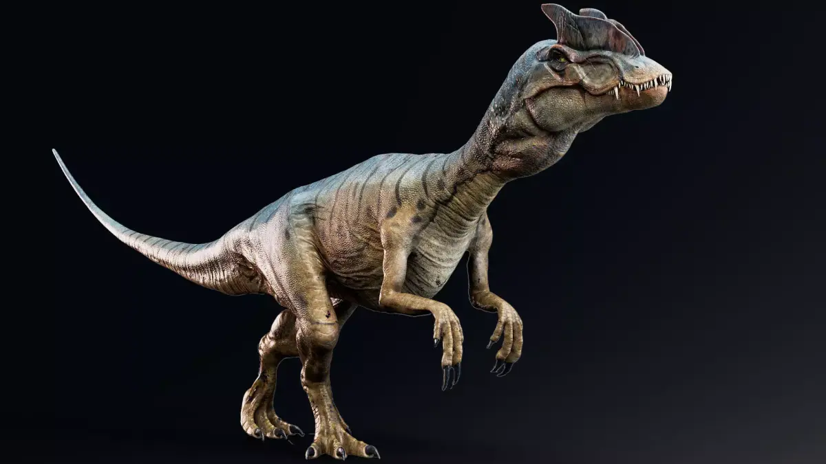 Dinosaur - Hybrid Dilophosaurus Unreal Engine Project Low-poly 3D model