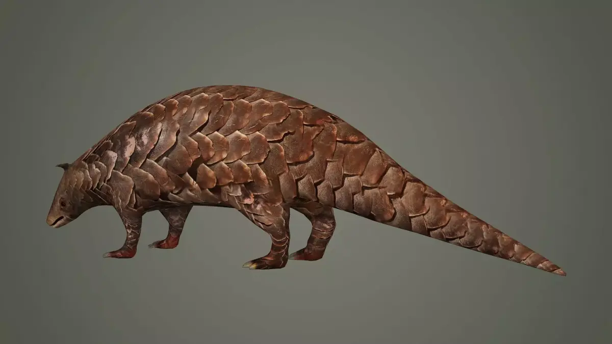mammal african maya pangolin asian asia animal 3D model