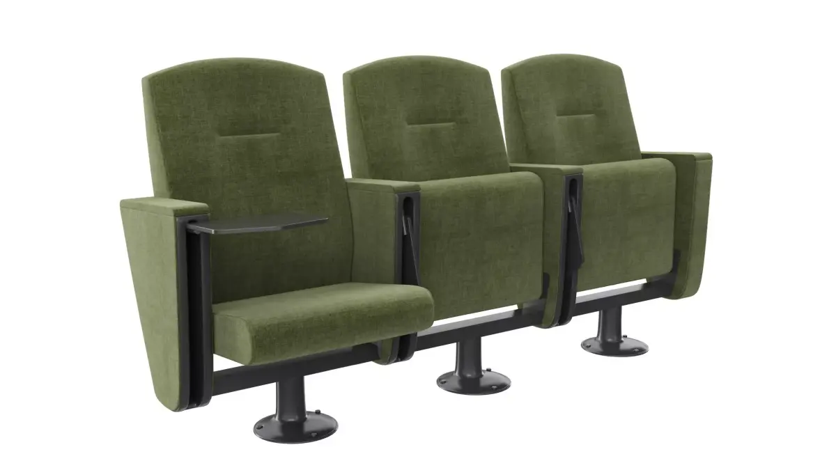 Auditorium Seating 3D model