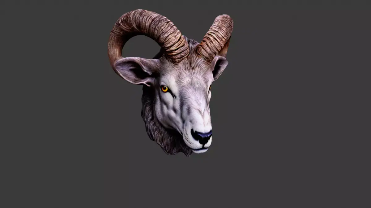 Deer Animal Head Low-poly 3D model 9