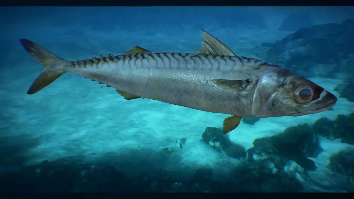 Mackerel fish in ocean Low-poly 3D model