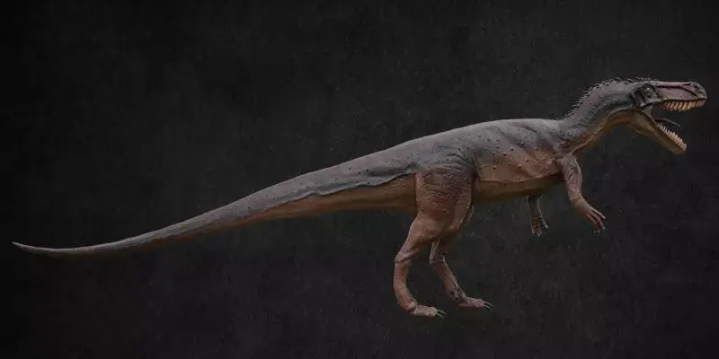 Torvosaurus t - rex Low-poly 3D model