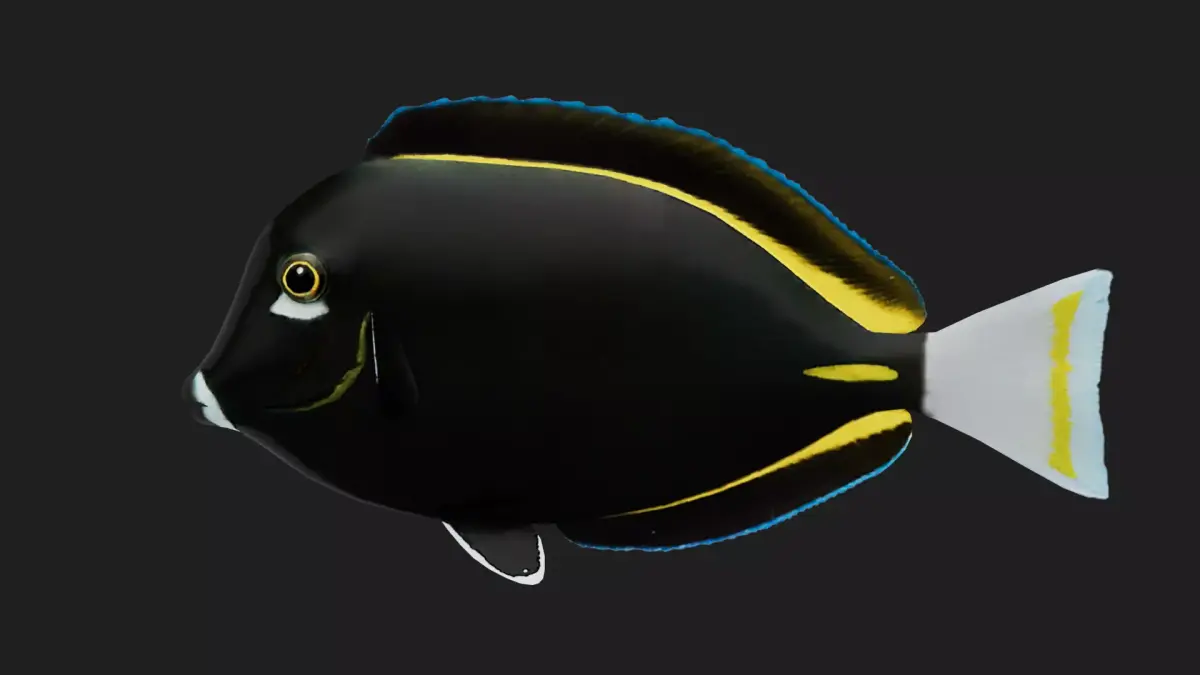Unicornfish Low-poly 3D model purchase