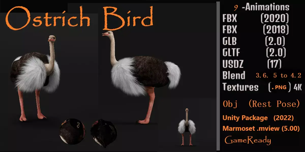Ostrich Bird Low-poly 3D model