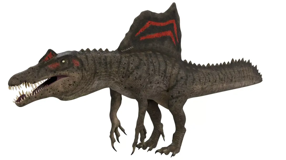 Spinosaurus 3D model