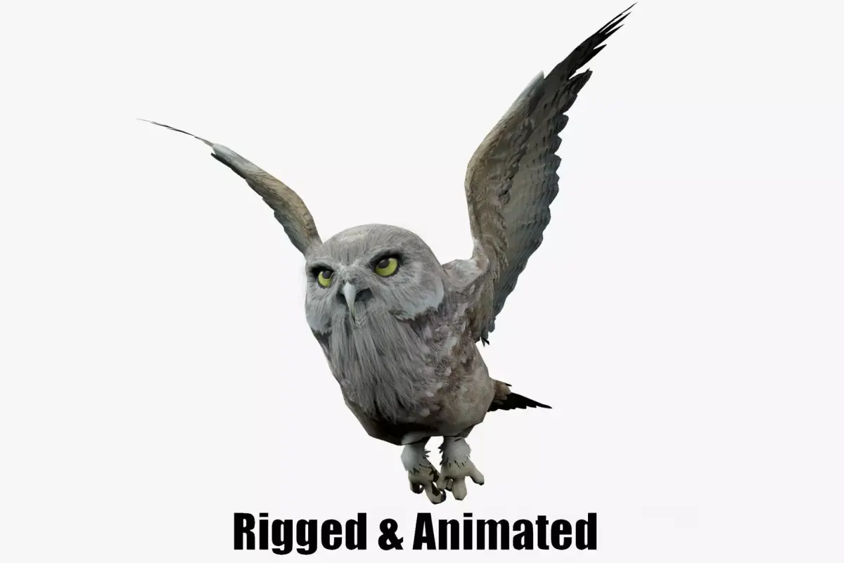 animated owl Low-poly 3D model