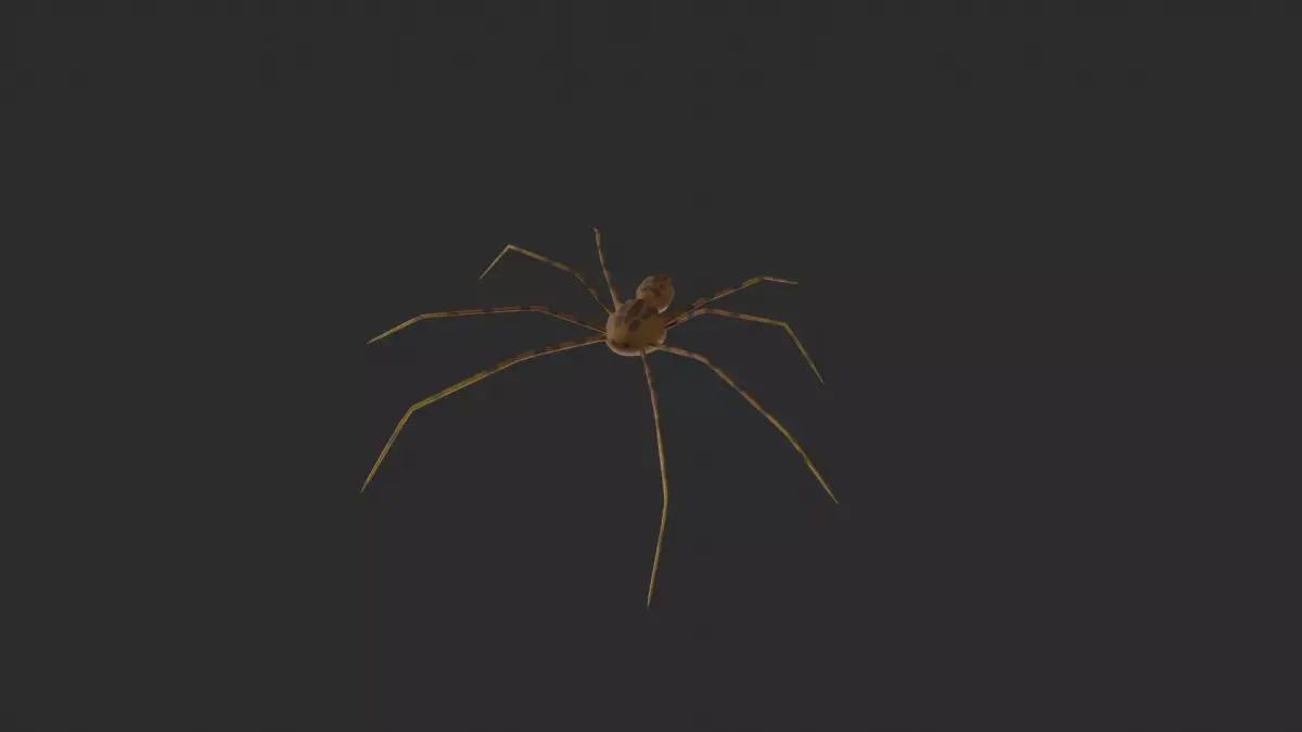 3D TIGER SPIDER Low-poly 3D model