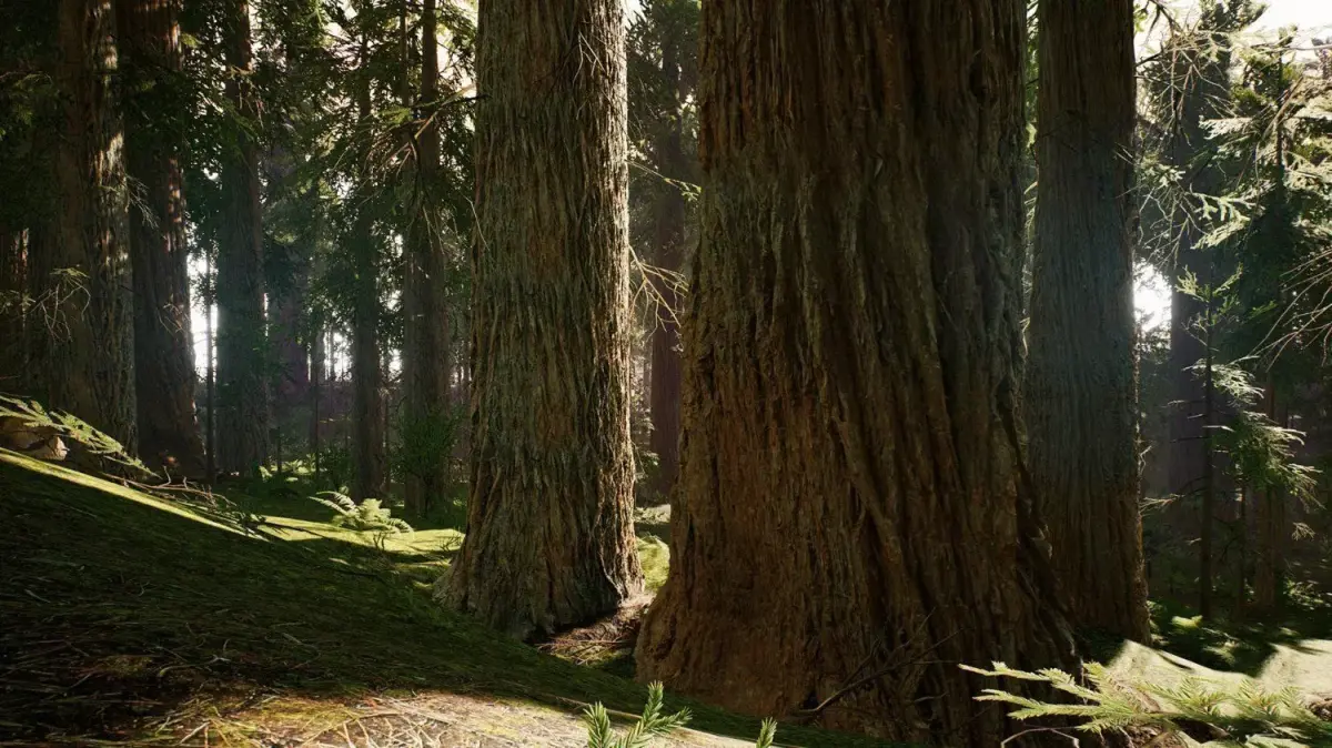 Redwood forest for game ready Low-poly 3D model