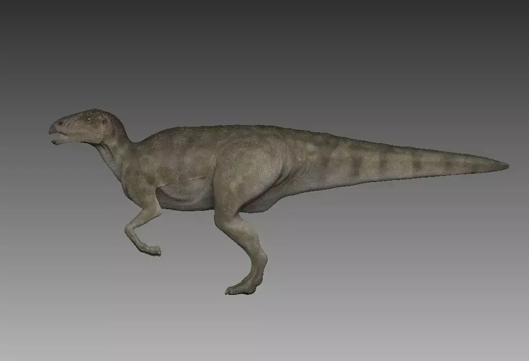 hadrosaure dinosaur Low-poly 3D model
