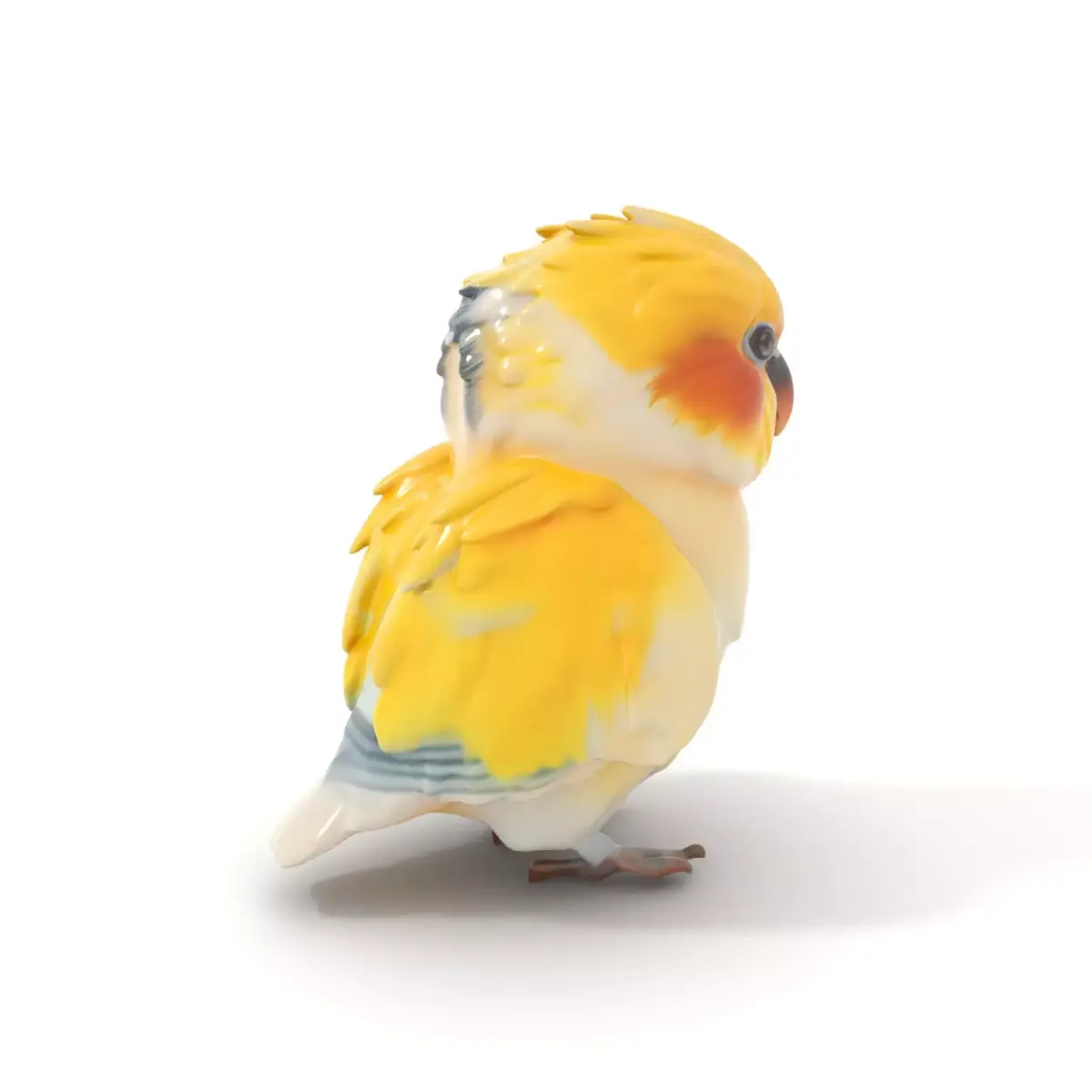 Vibrant Parakeet model pack Low-poly 3D model