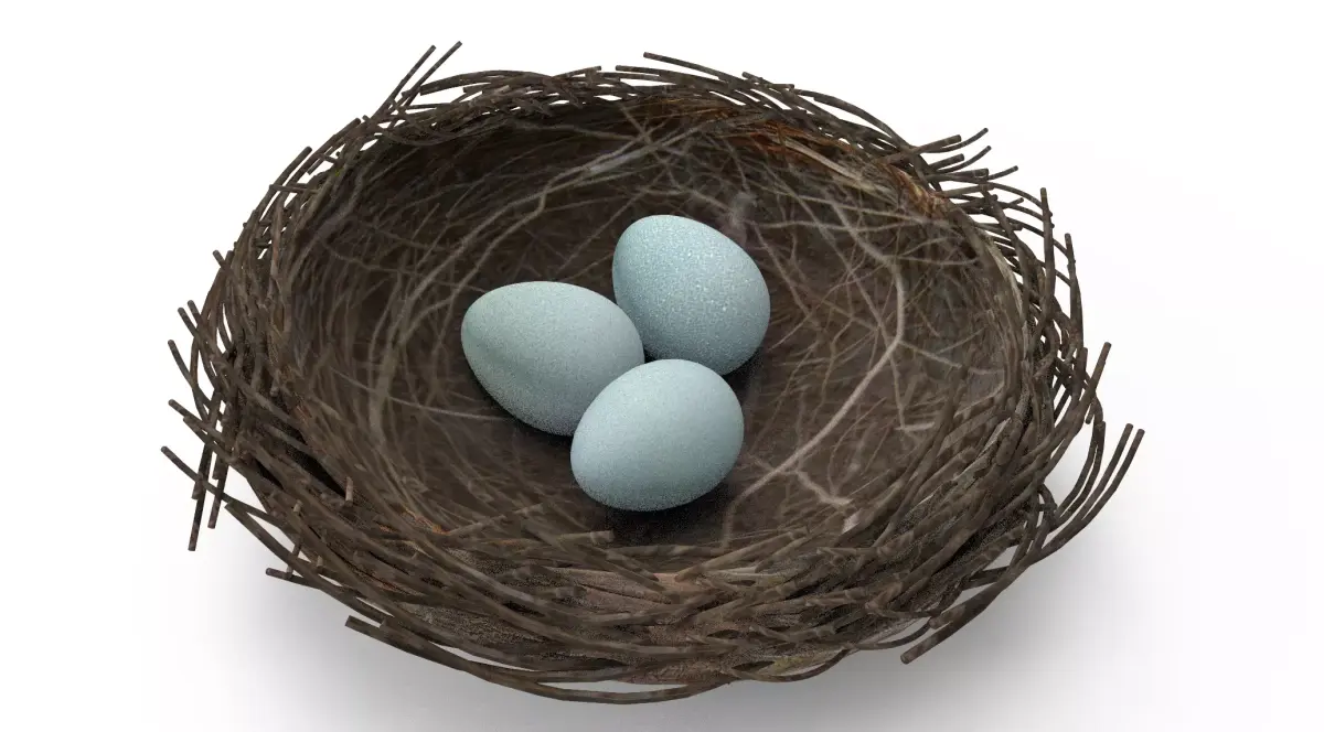 Bird Nest 3D Unity Low-poly 3D model