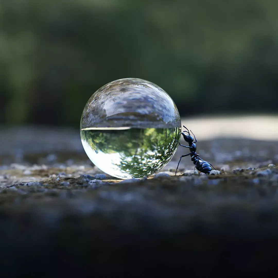 Ant insect Low-poly 3D model