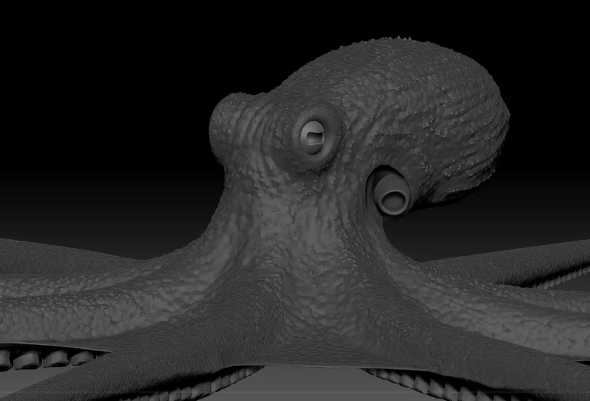 Octopus 3D model 8