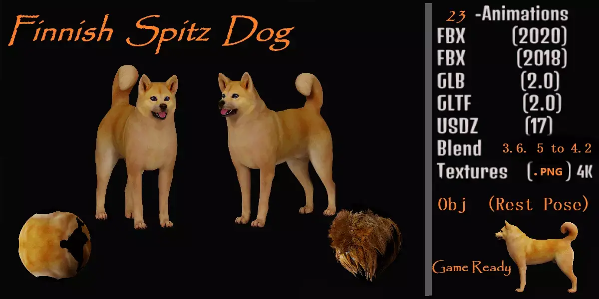 Finnish Spitz Dog Free low-poly 3D model
