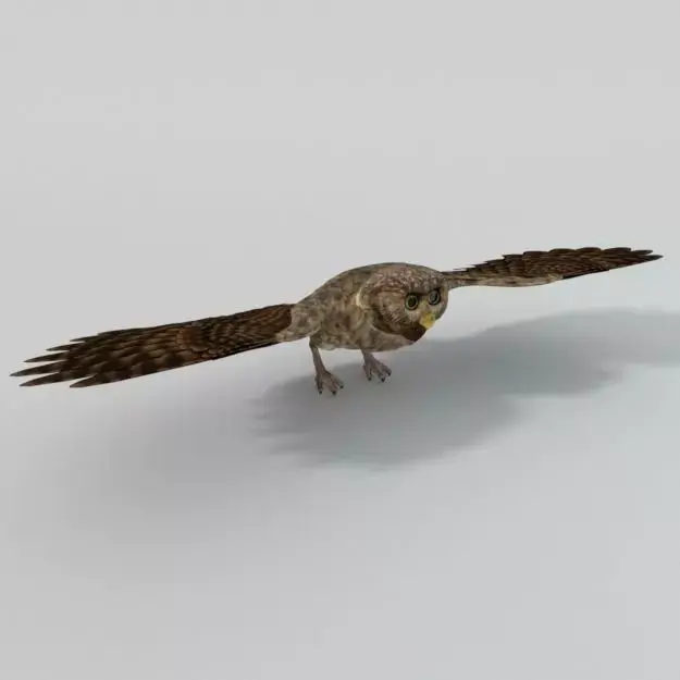 Owl bird Low-poly 3D model