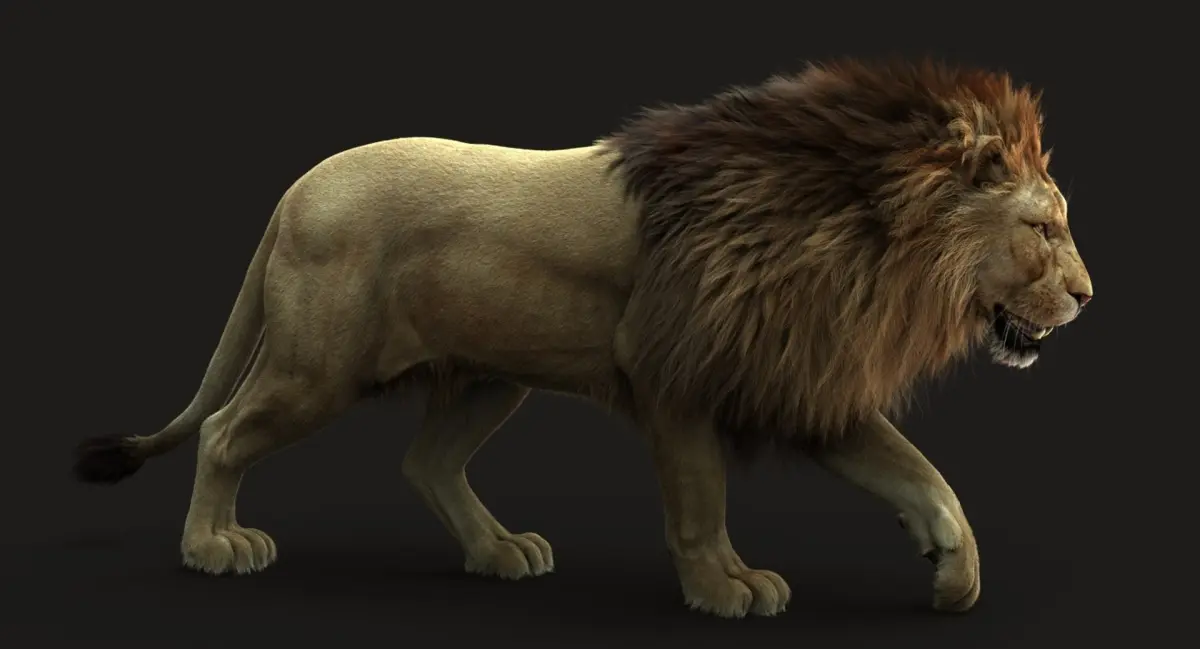 Lion 3 RIG FUR 3D model