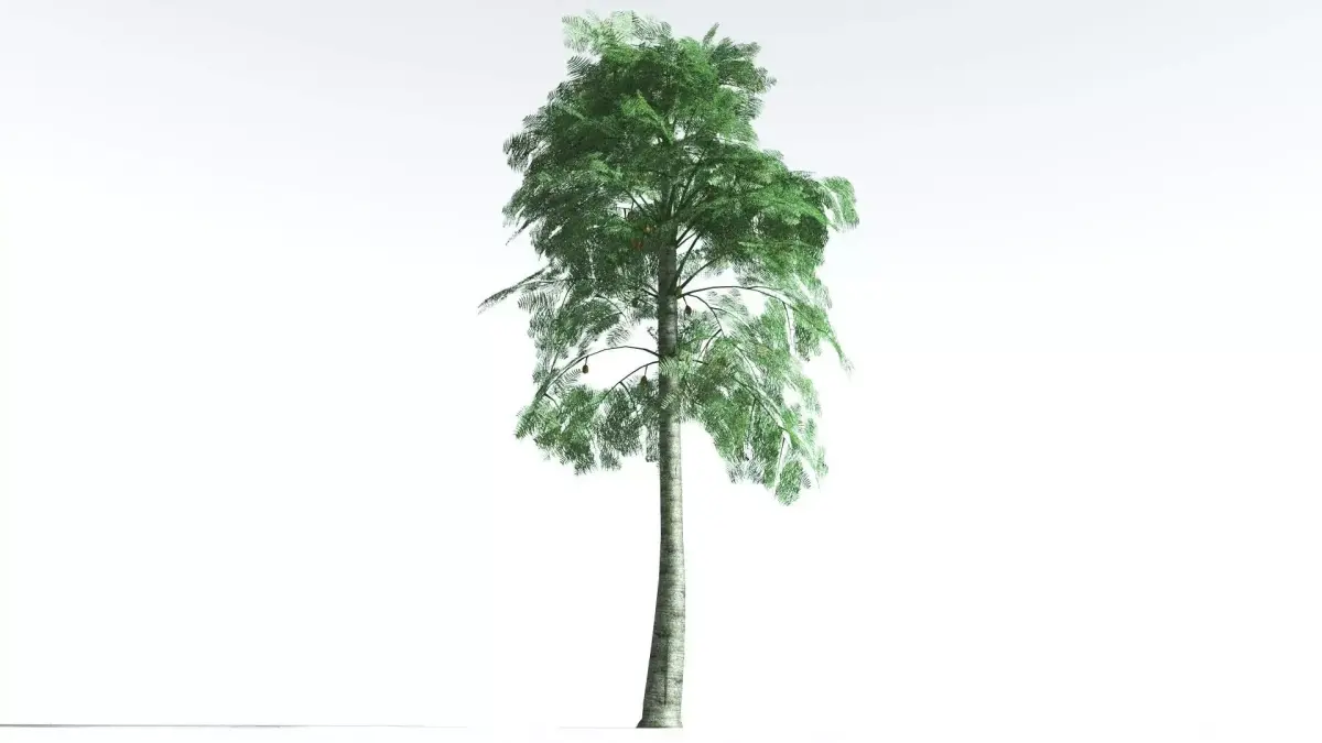 EVERYPlant Alethopteris Seed Fern LowPoly 2 --12 Models-- Low-poly 3D model