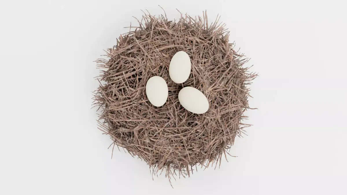 -Stork Nest with Eggs- 3D model