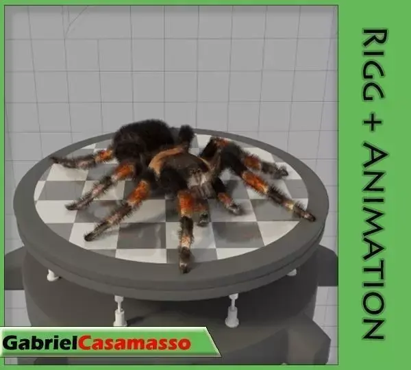 Tarantula spider Low-poly 3D model buy