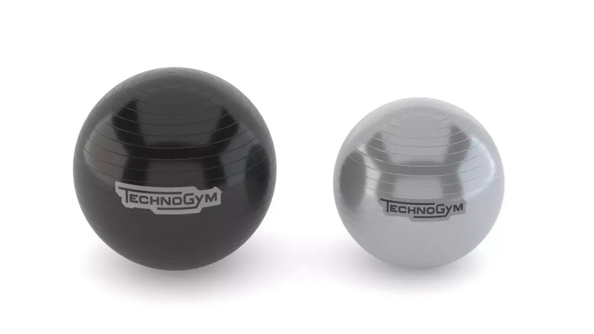 Technogym Accessories Wellness Ball Training 3D model