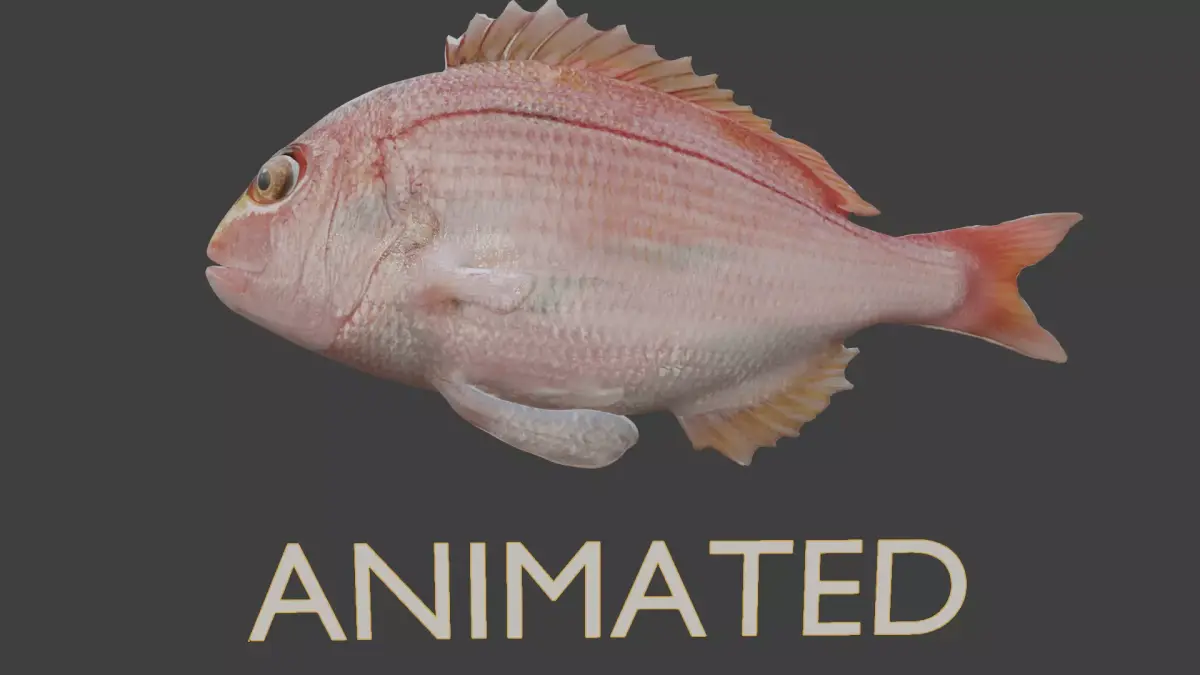 carp fish Low-poly 3D model 22