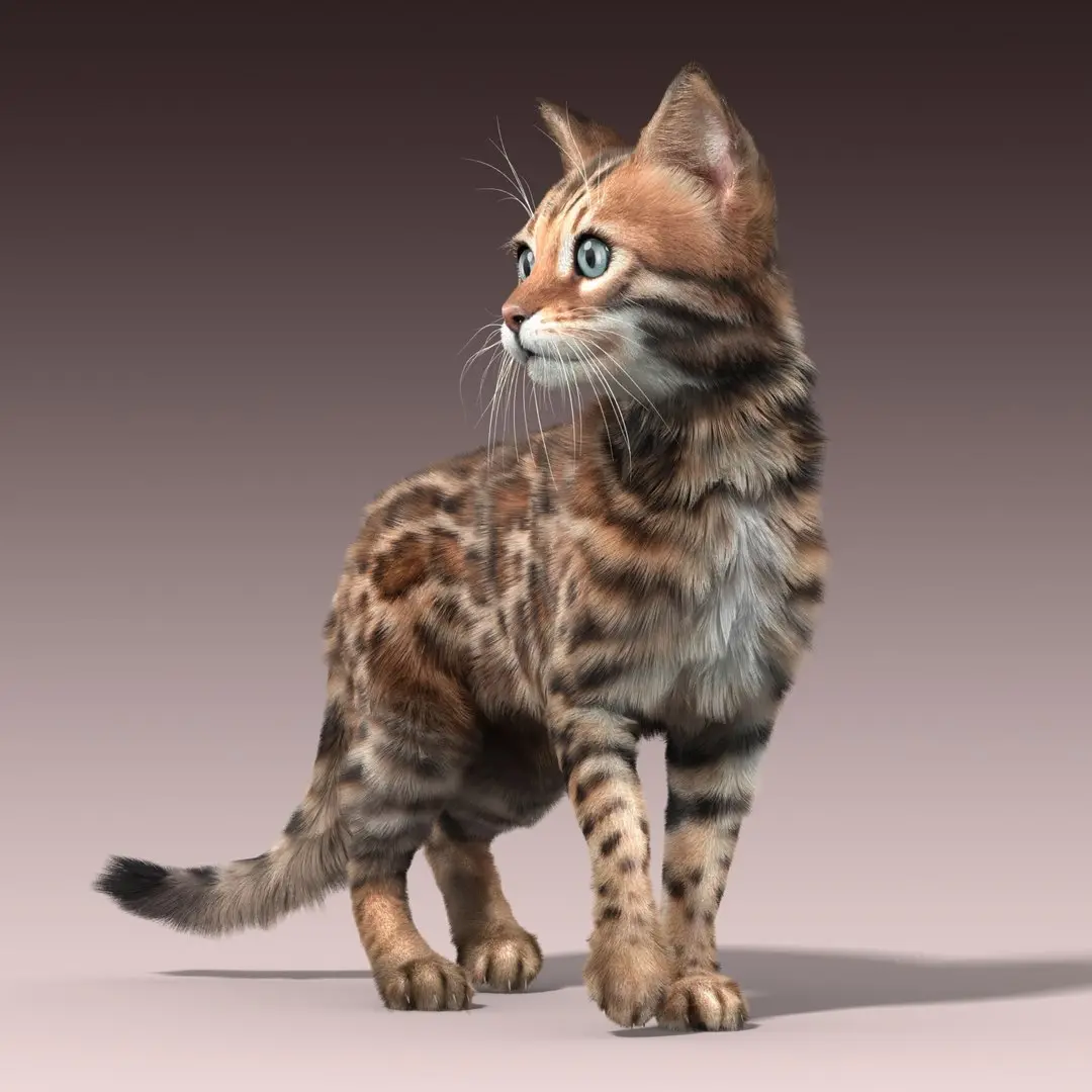 Bengal cat(2)(FUR)(ANIMATED) 3D model