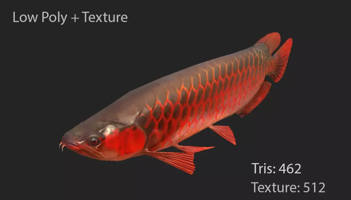 Dragon Fish Low-poly 3D model