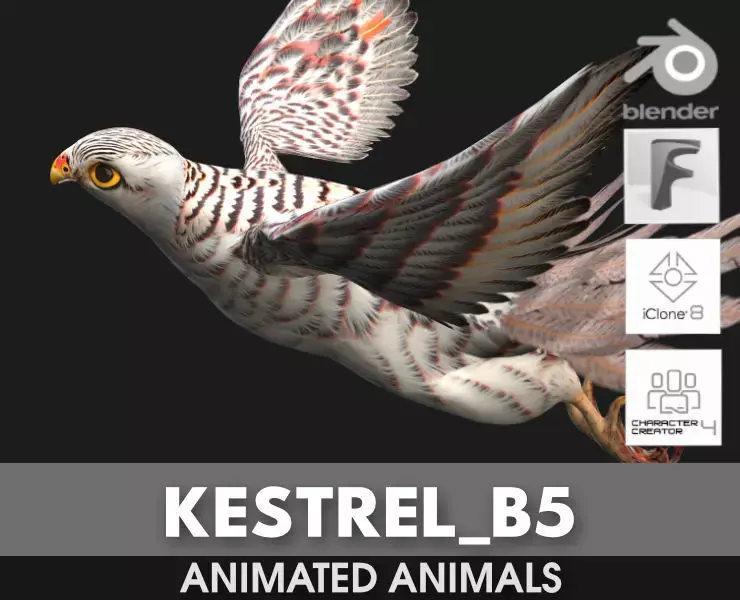 Kestrel B5 3D model