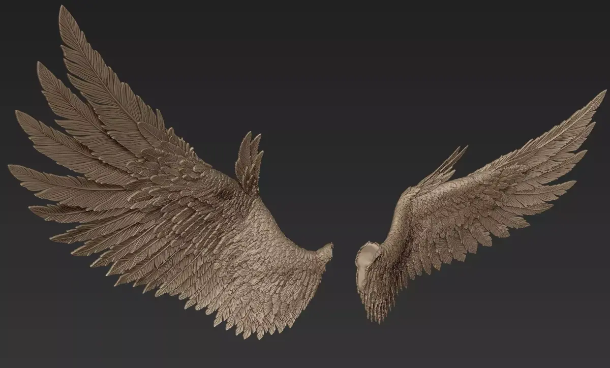 Wings 2 Zbrush Sculpt 3D model