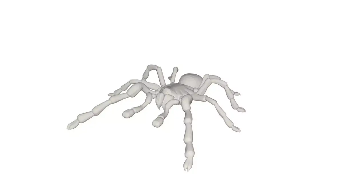 Tarantulas spider 3D model