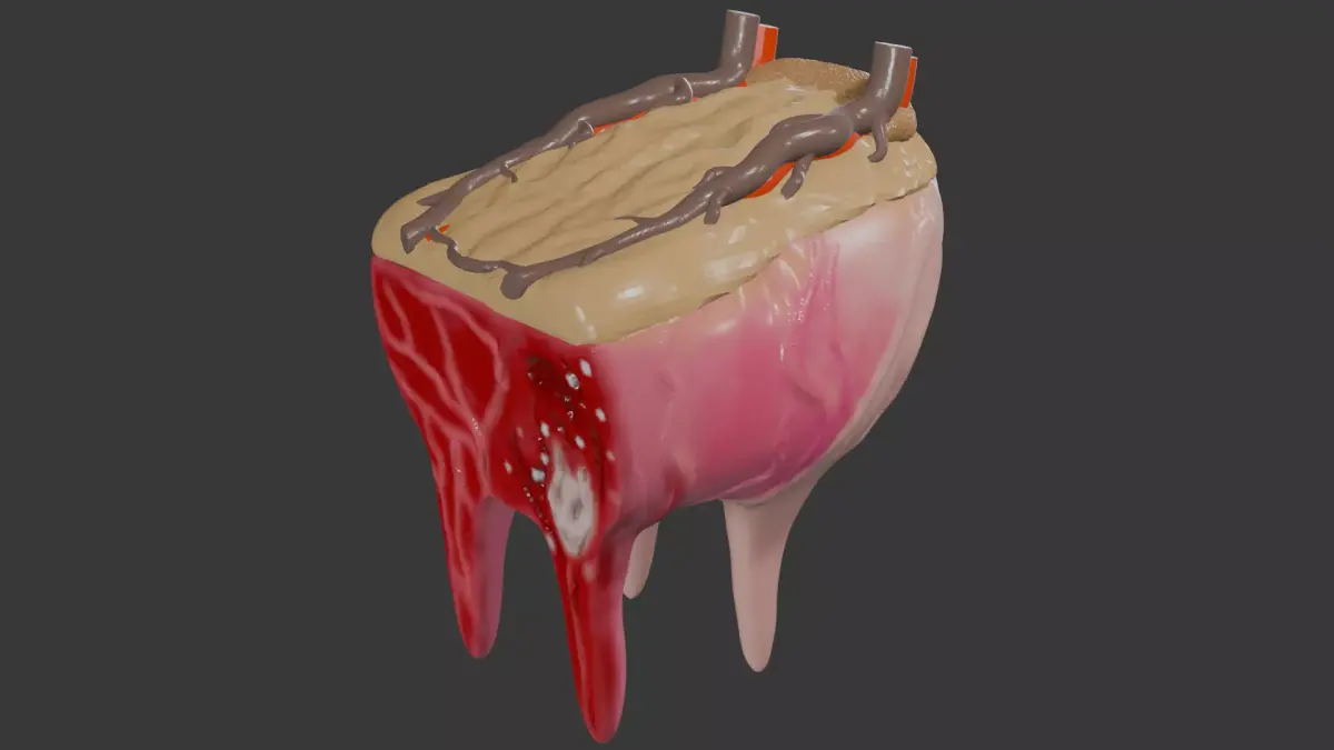 Cow udder 3D model